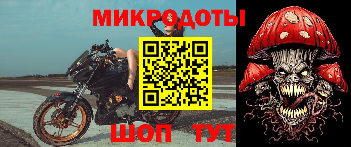 Псилоцибиновые грибы прущие грибы Волхов