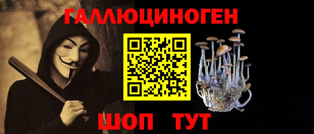 Волхов  Псилоцибиновые грибы прущие грибы  Вход с VPN 