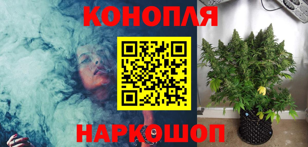 Конопля White Widow  Бошки Шишки ГИДРОПОН  Вход с VPN  Волхов 